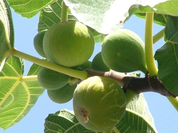 Cicirata Sea Beach - Sicilia Vacanza Avola Zewnętrze zdjęcie