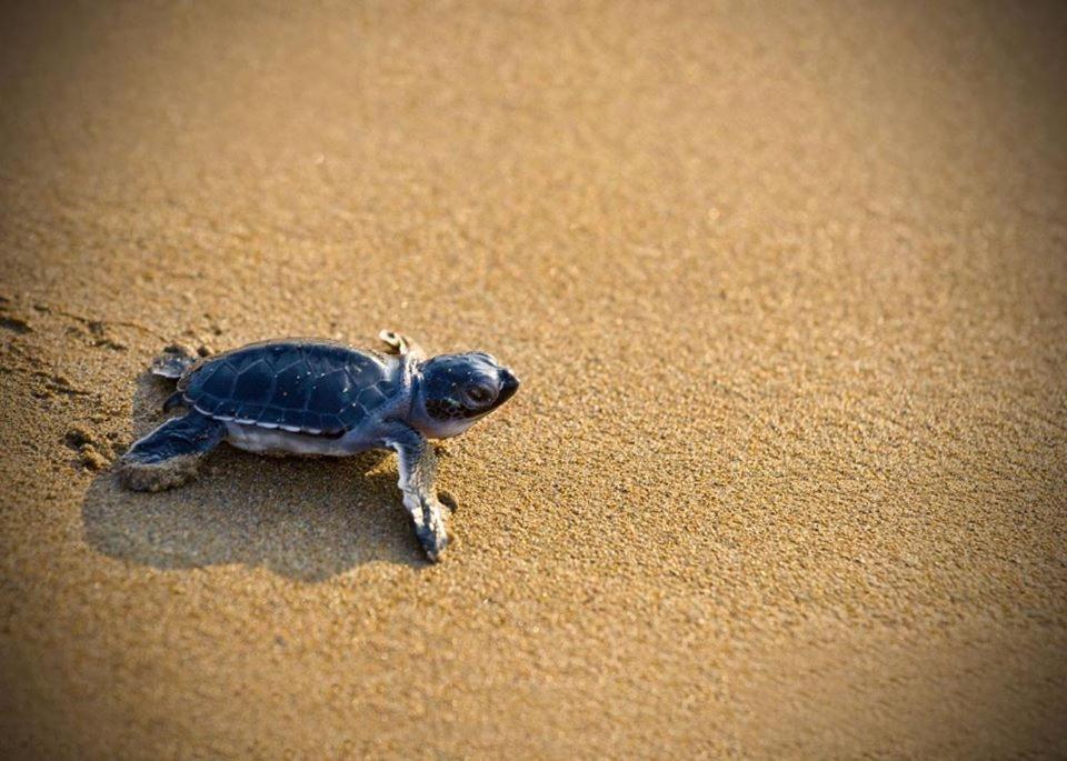 Cicirata Sea Beach - Sicilia Vacanza Avola Zewnętrze zdjęcie